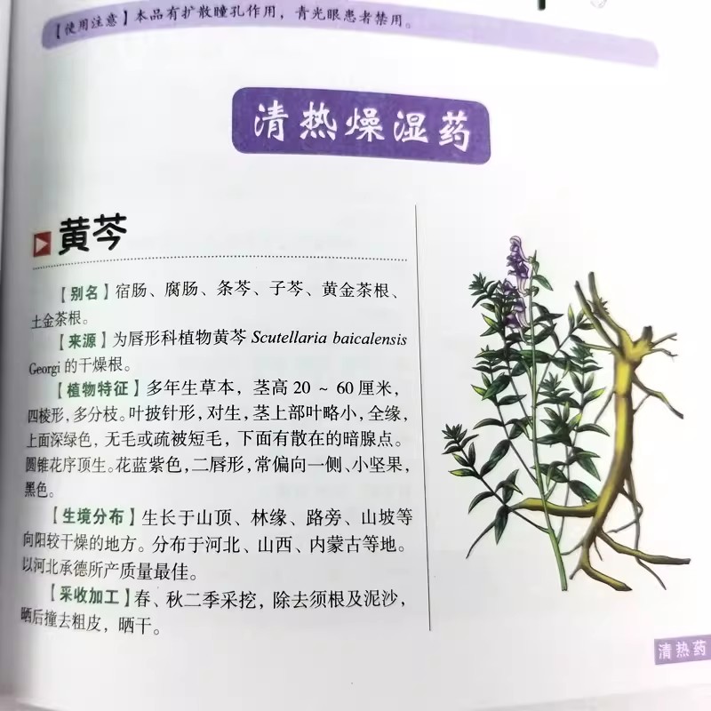 หนังสือคู่มือสมุนไพรโบราณเพื่อ - Wellness Herbal Medicine บทวิจารณ์และราคา